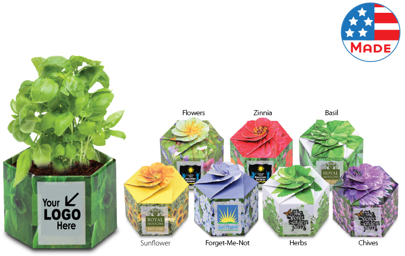 Sprout Starter Kit Sprout Starter Kit
